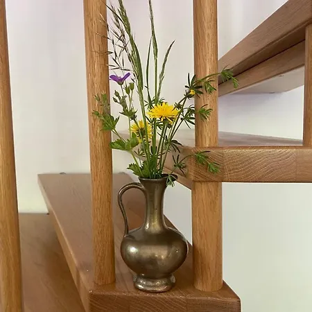 펜션 Haus Pistenblick 디엔텐암호크코니그