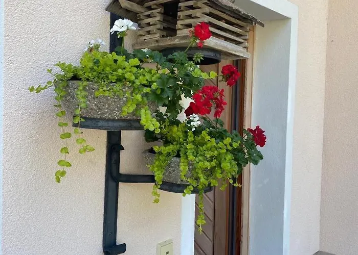 Haus Pistenblick بيت للعطل ديتن ام هوكونغ